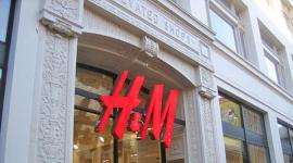 Правозащитники призвали H & M отказаться от хлопка из Узбекистана