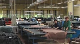 Инвесторы из Нидерландов намерены вкладывать деньги в кожевенную отрасль Армении