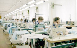 Услуги швейного производства (только массовый пошив)
